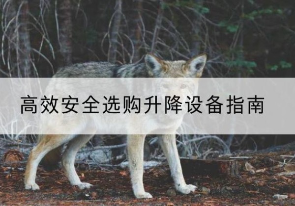 福田升降货梯厂家推荐-*安全选购升降设备指南