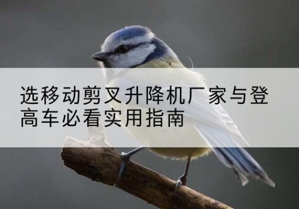 福田电动升降机厂家-选移动剪叉升降机厂家与登高车必看实用指南